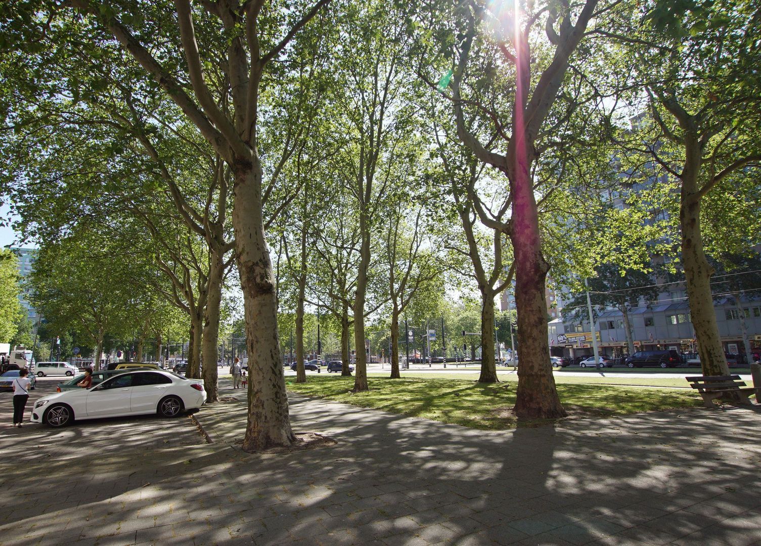 Groenendaal, Rotterdam foto-11