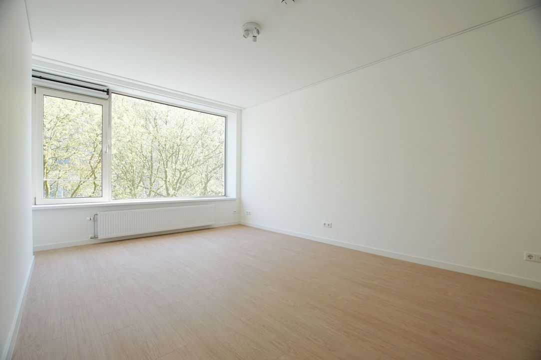 Groenendaal, Rotterdam