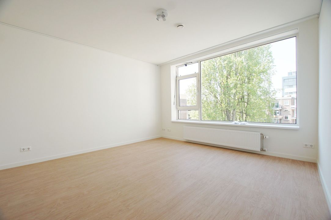Groenendaal, Rotterdam