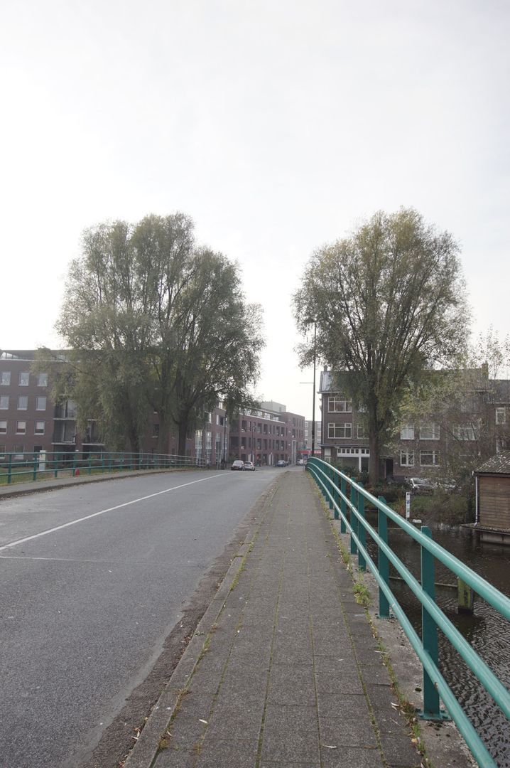 Vaartweg, Vlaardingen foto-13