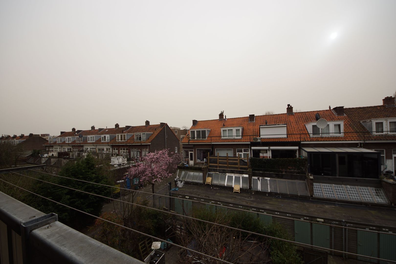 Schiedamseweg, Rotterdam foto-8
