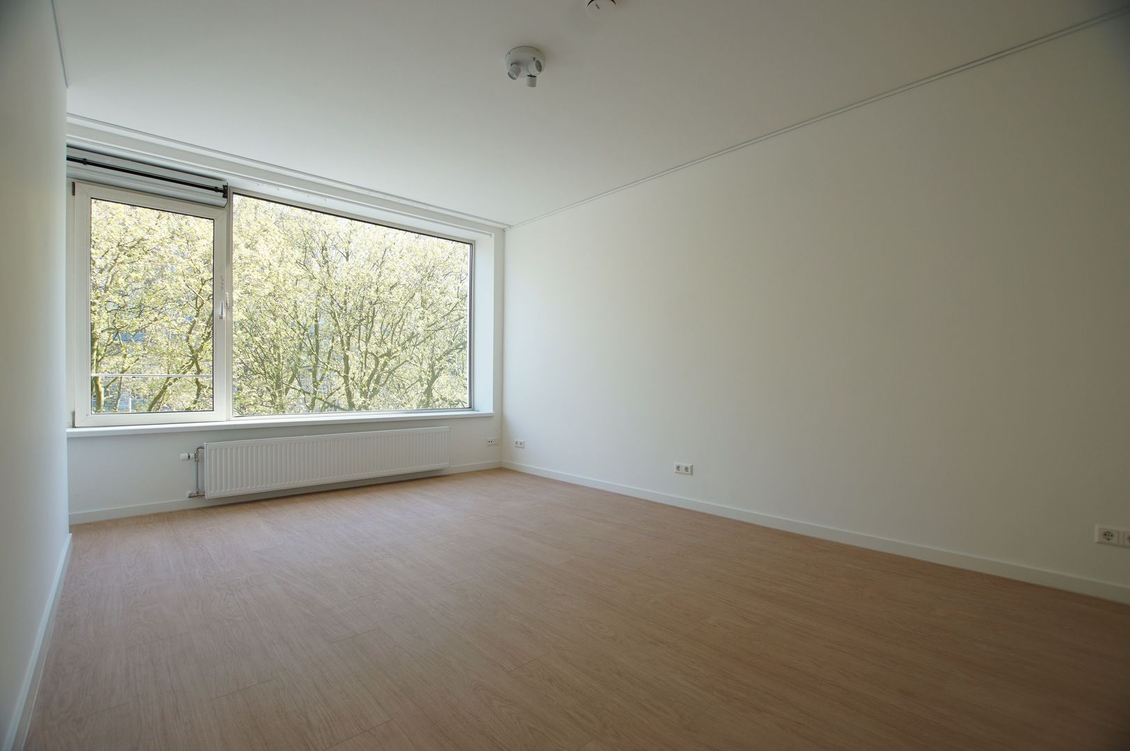 Groenendaal, Rotterdam foto-1
