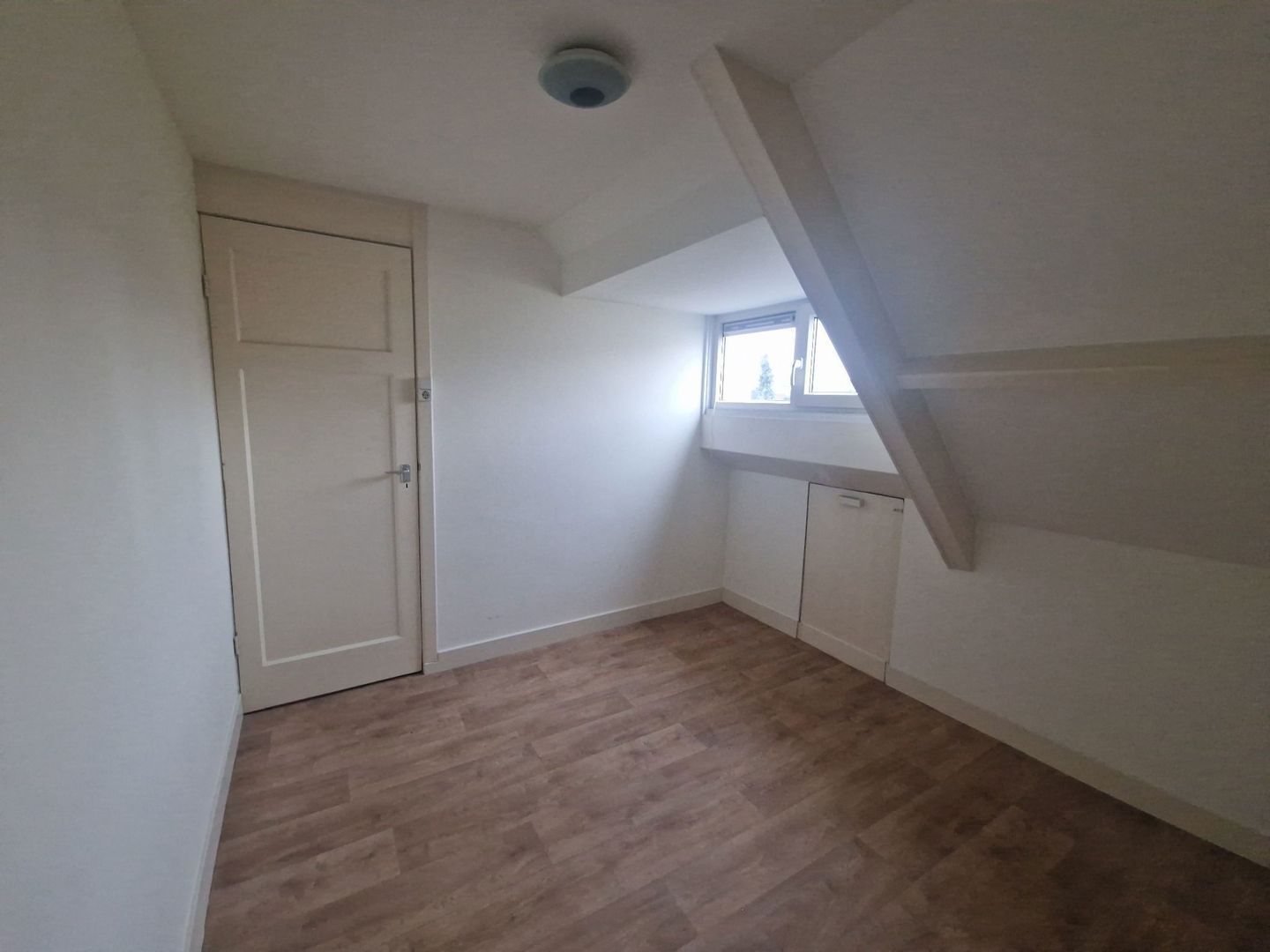 Jaersveltstraat, Rotterdam foto-10