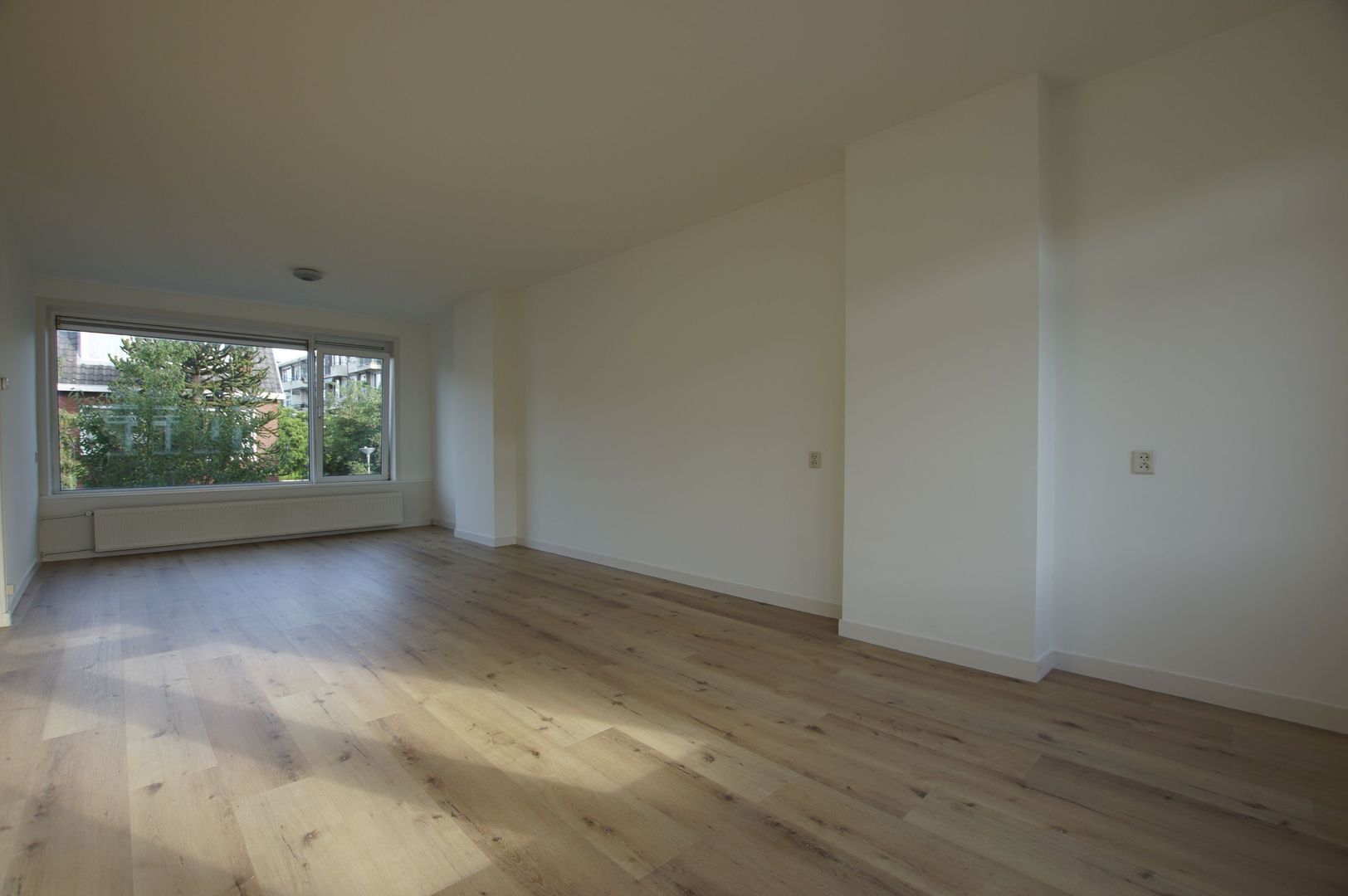 Jaersveltstraat, Rotterdam foto-1