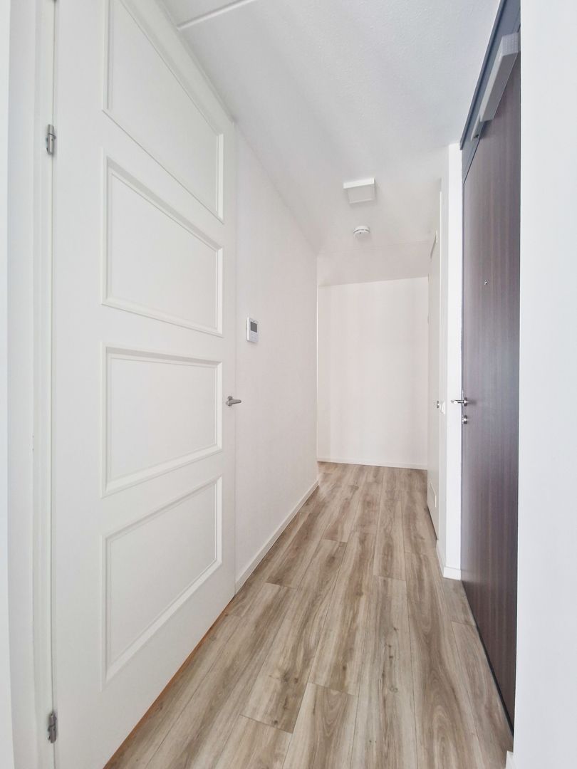 Philips Willemstraat, Rotterdam foto-10