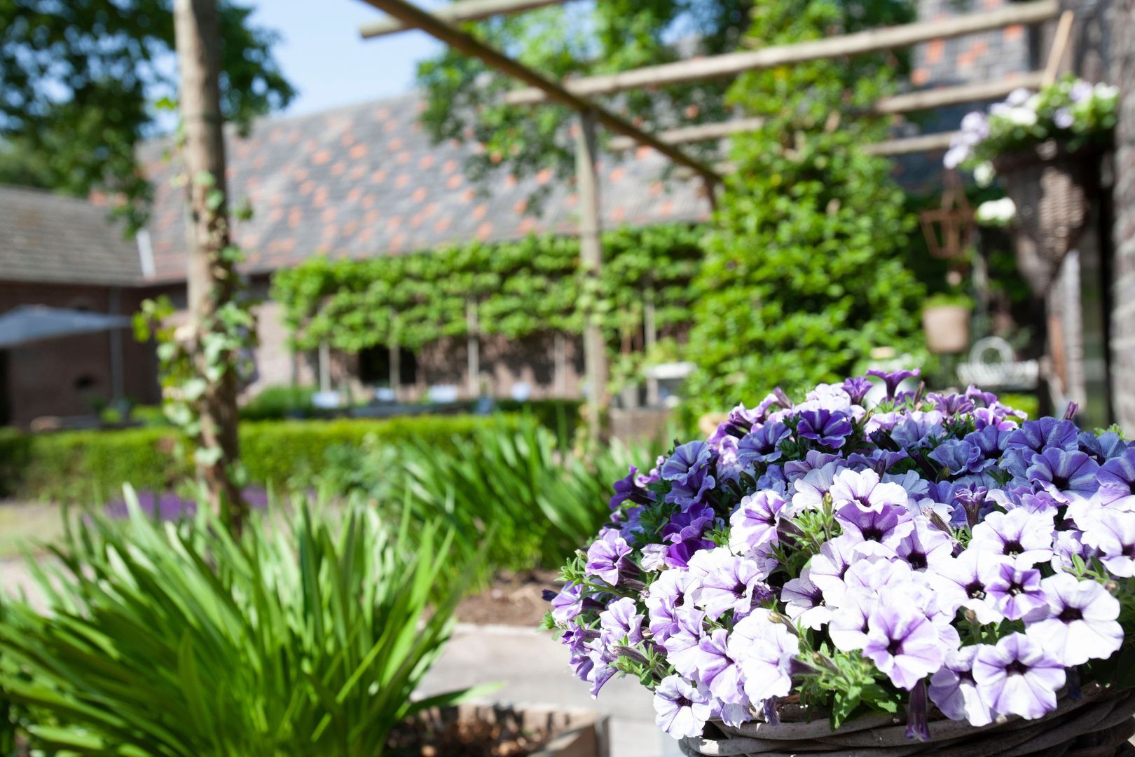 Kevelaarsedijk 1, Well L foto-24