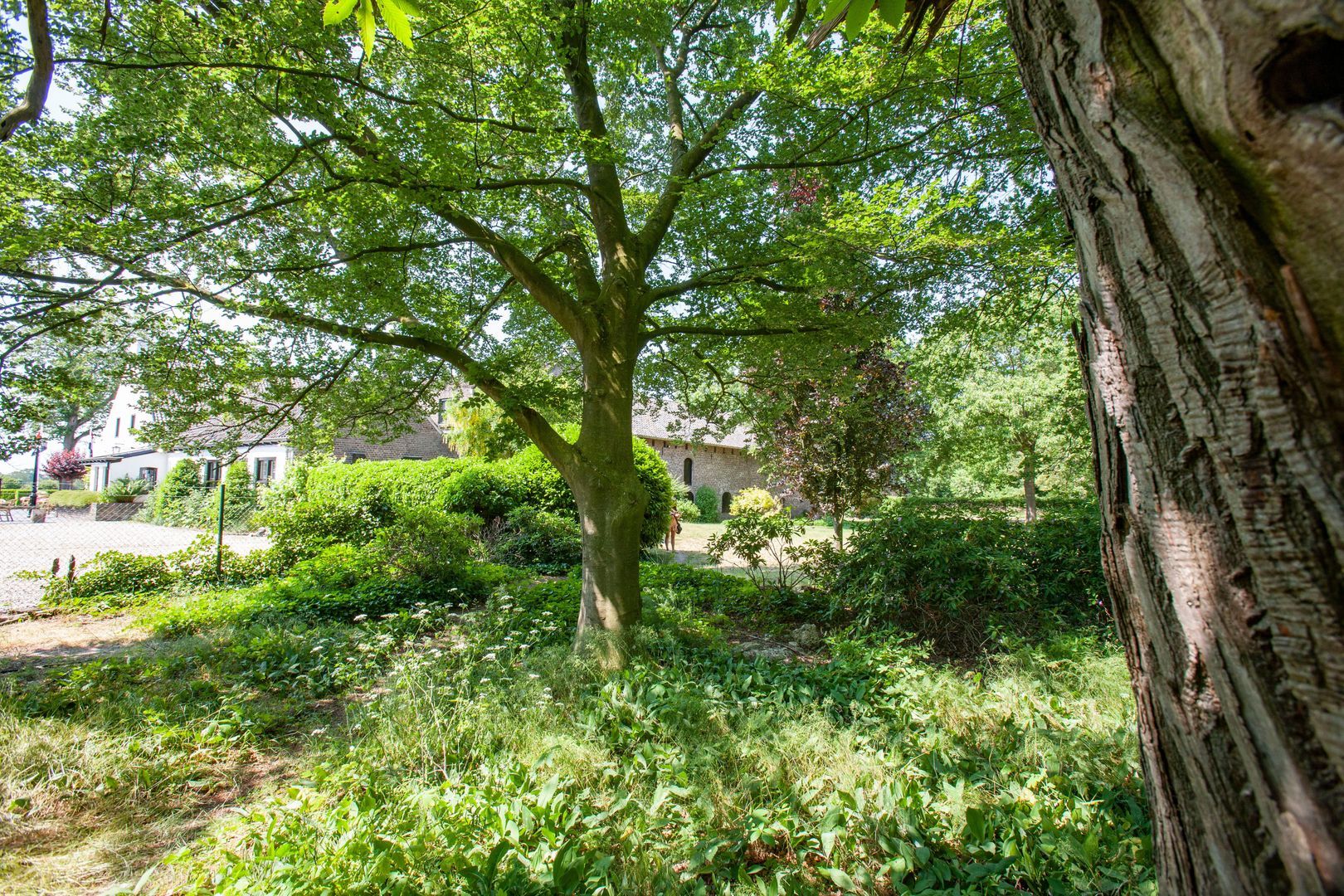 Kevelaarsedijk 1, Well L foto-94