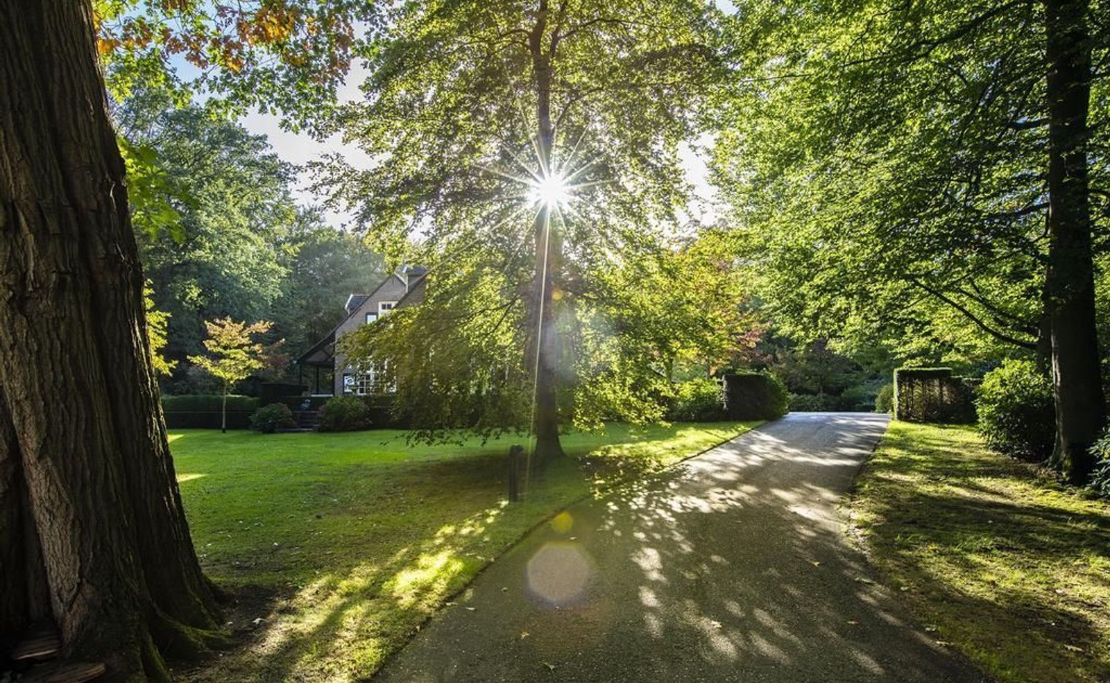 Joppelaan 65, Joppe foto-6