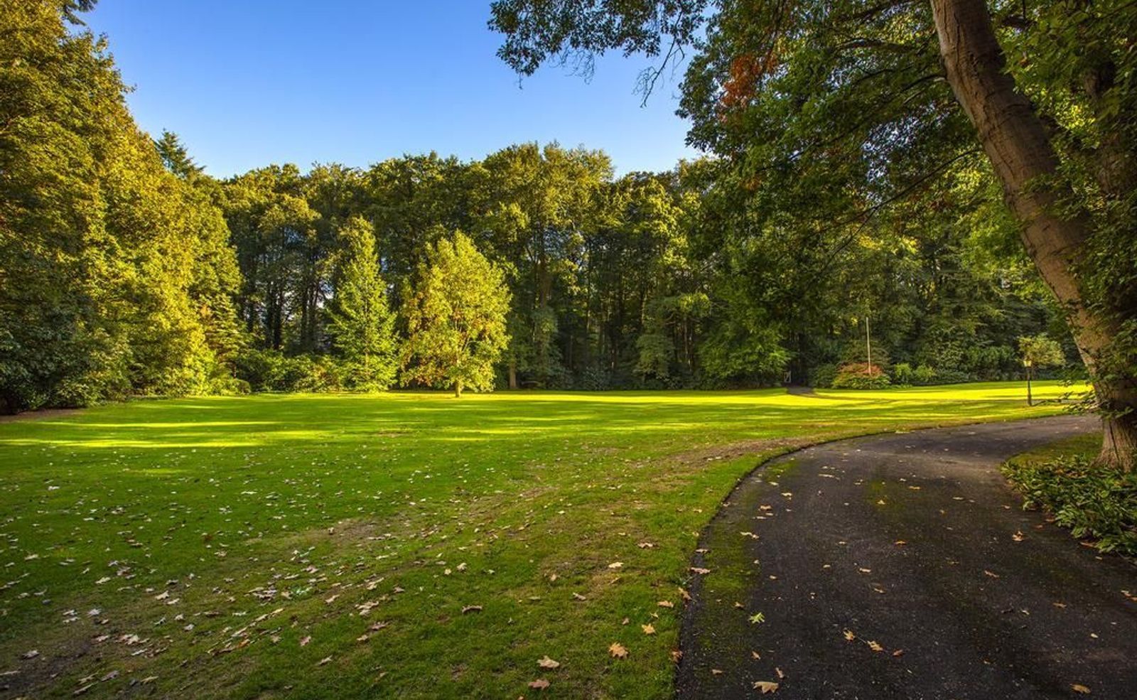 Joppelaan 65, Joppe foto-7