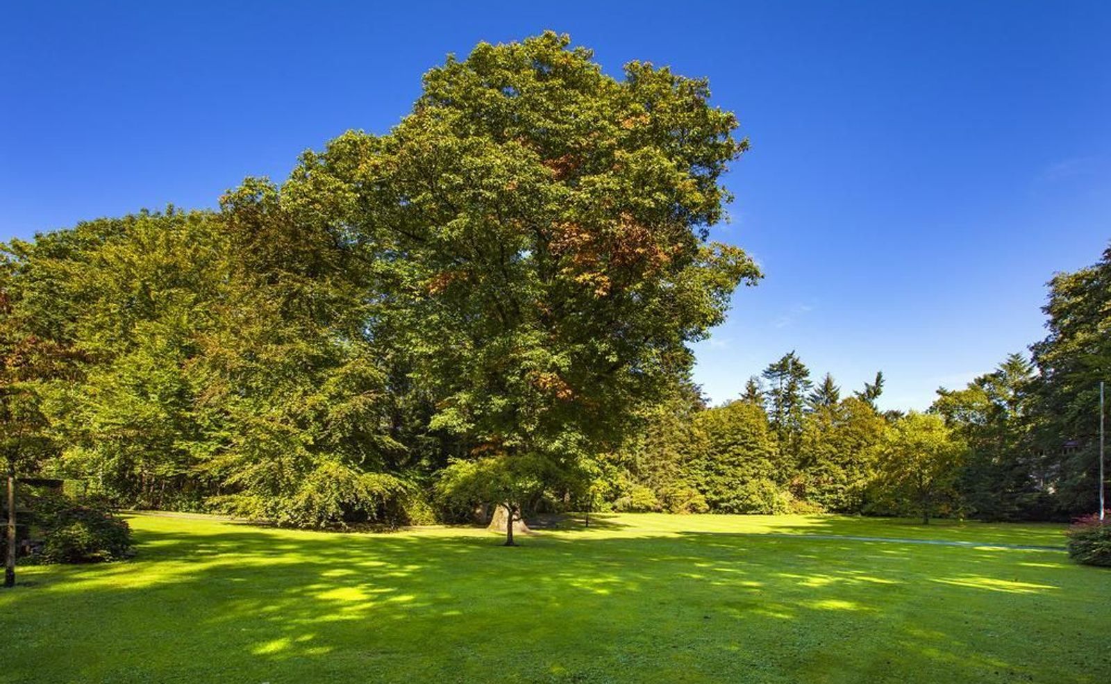 Joppelaan 65, Joppe foto-8