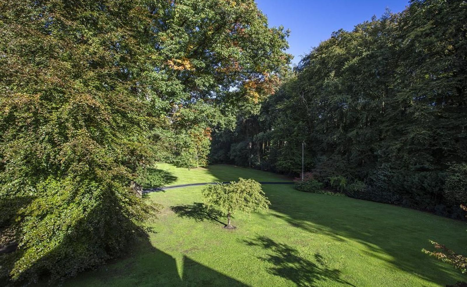 Joppelaan 65, Joppe foto-31