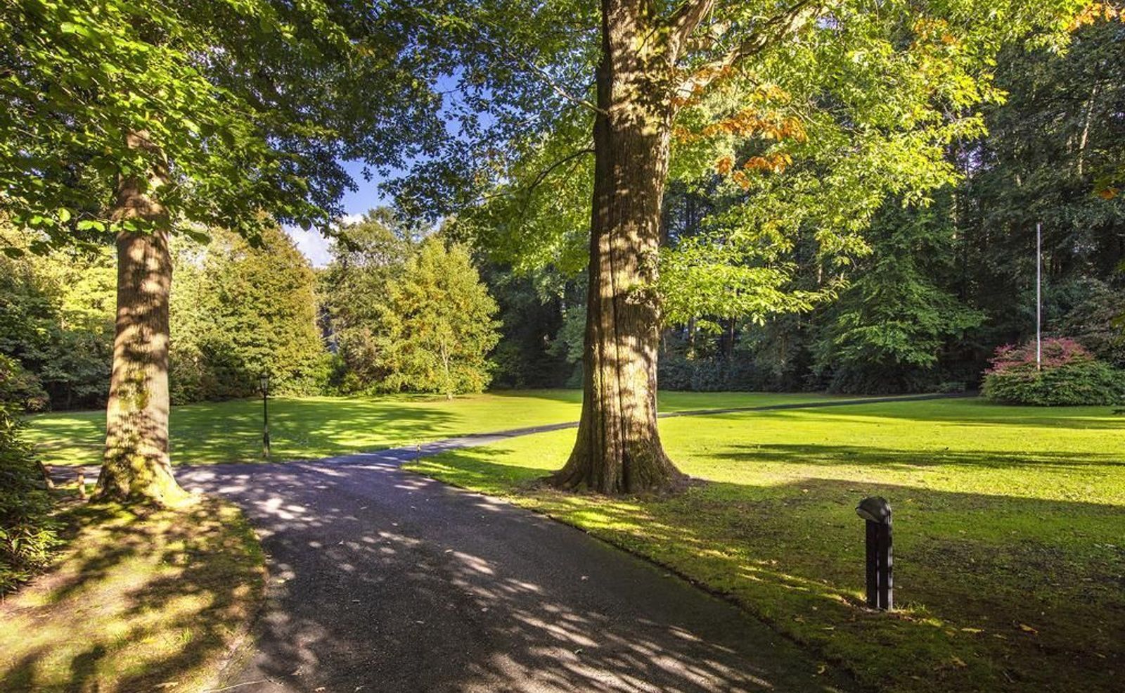 Joppelaan 65, Joppe foto-44