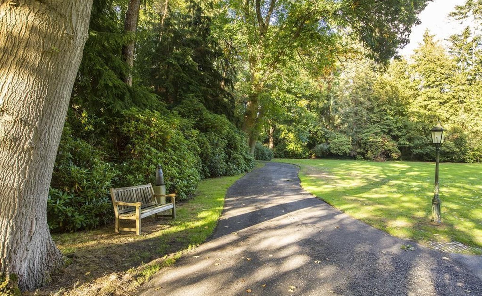 Joppelaan 65, Joppe foto-45