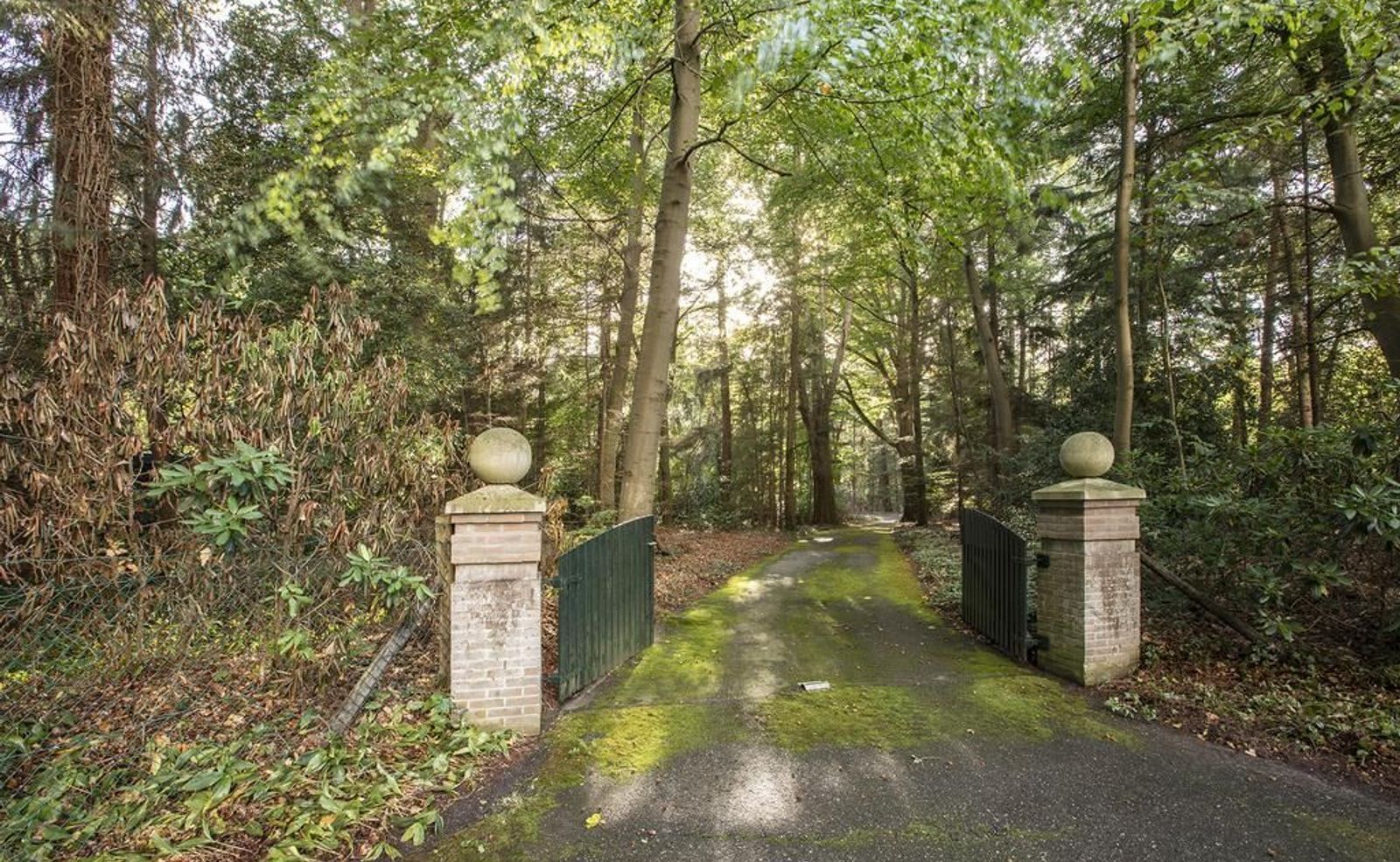 Joppelaan 65, Joppe foto-46