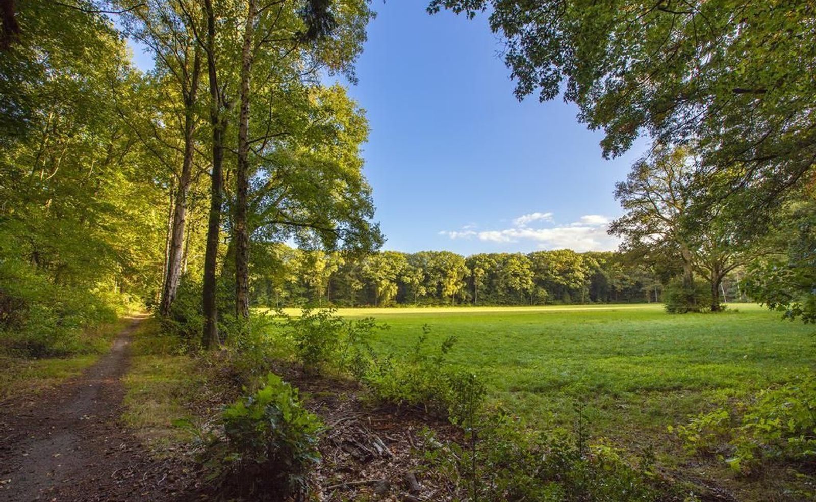 Joppelaan 65, Joppe foto-49