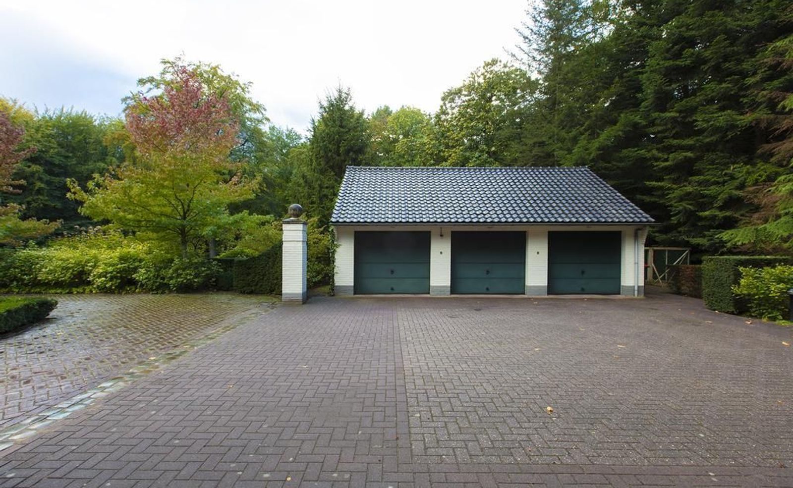 Joppelaan 65, Joppe foto-41