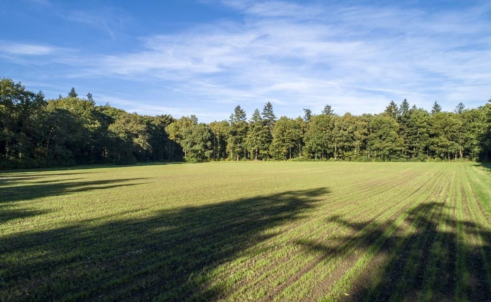 Joppelaan 65, Joppe foto-51