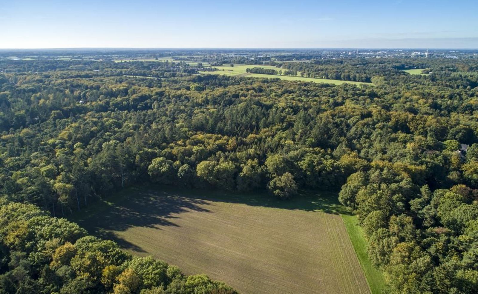 Joppelaan 65, Joppe foto-50