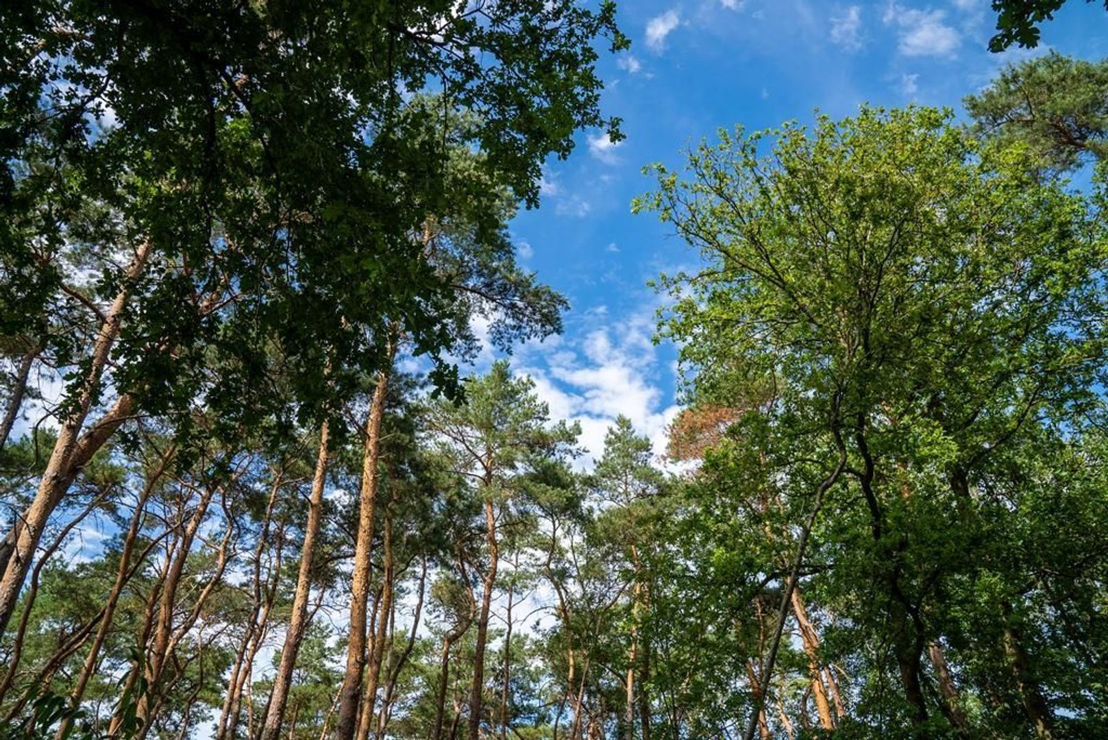 Koeweideweg 0 ong image 1