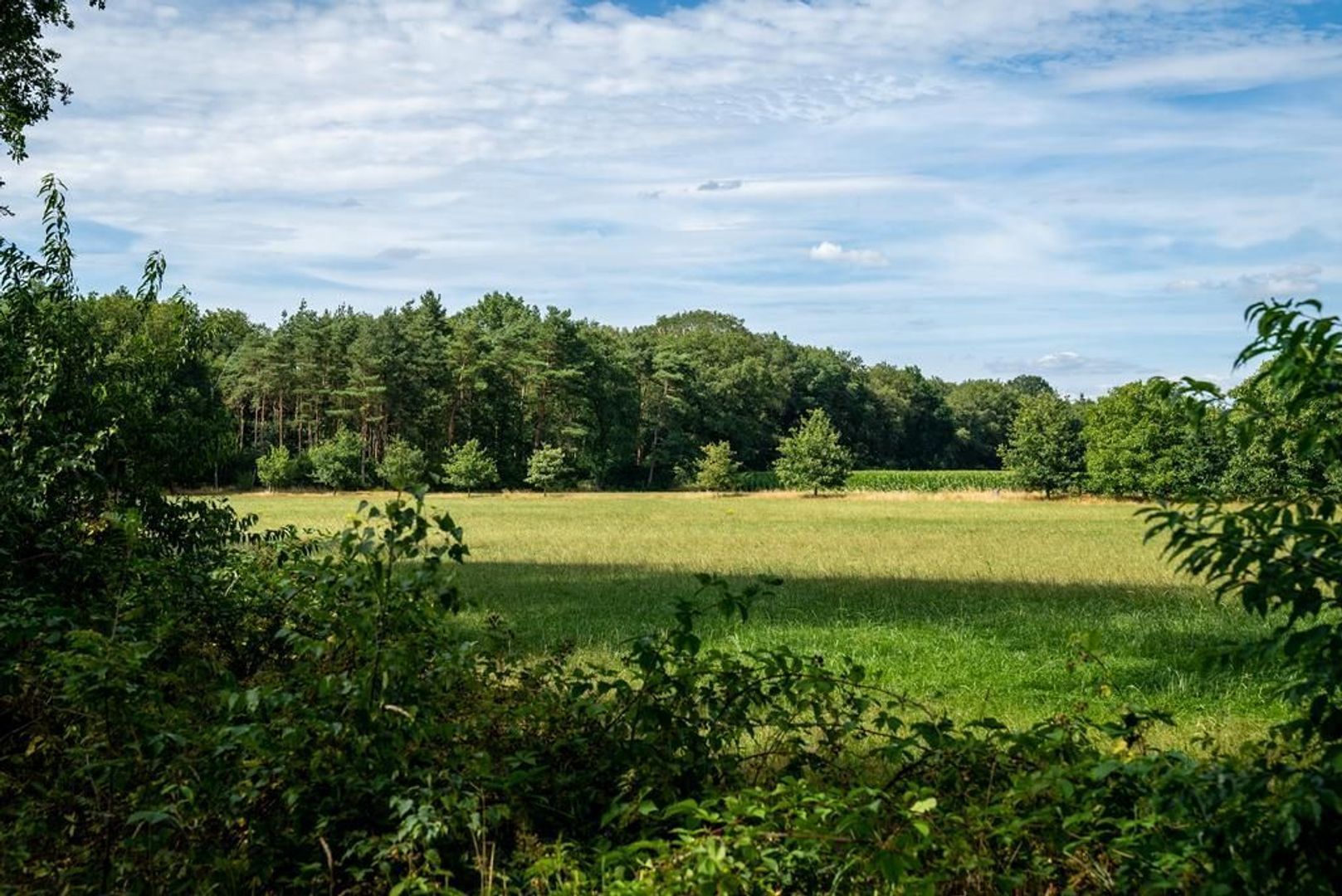 Koeweideweg 0 ong image 1