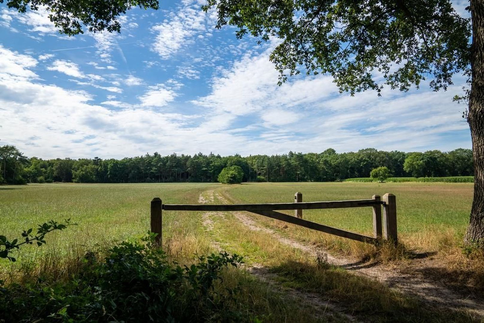 Koeweideweg 0 ong image 1