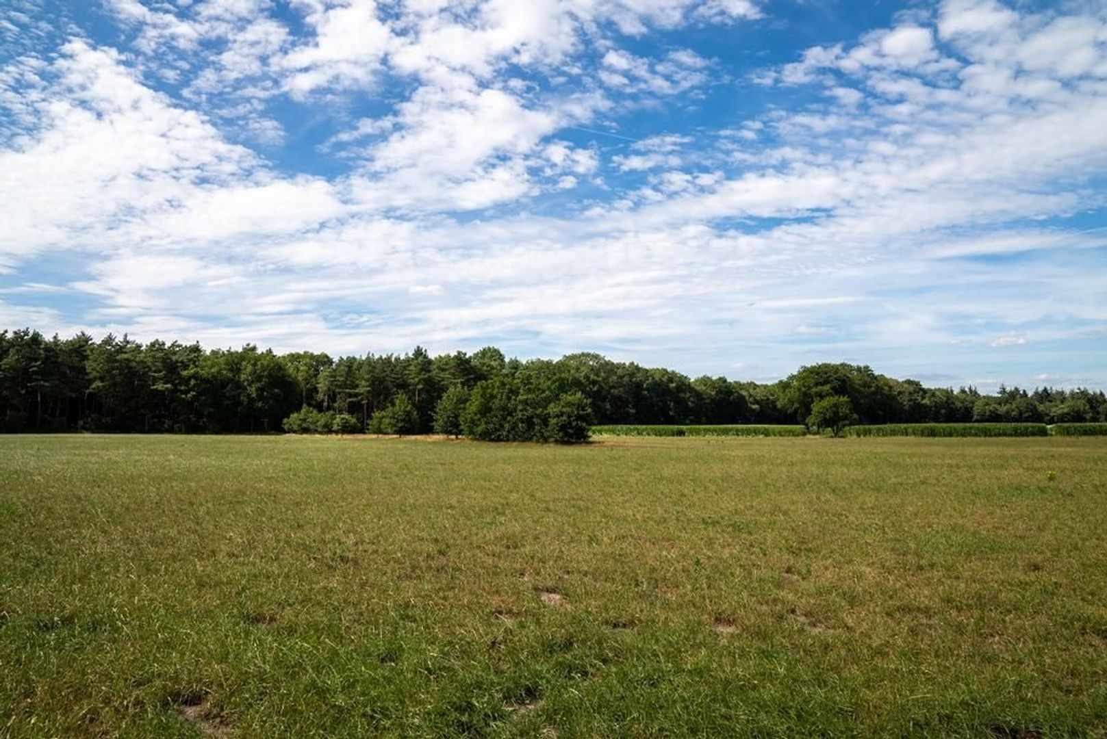 Koeweideweg 0 ong image 1