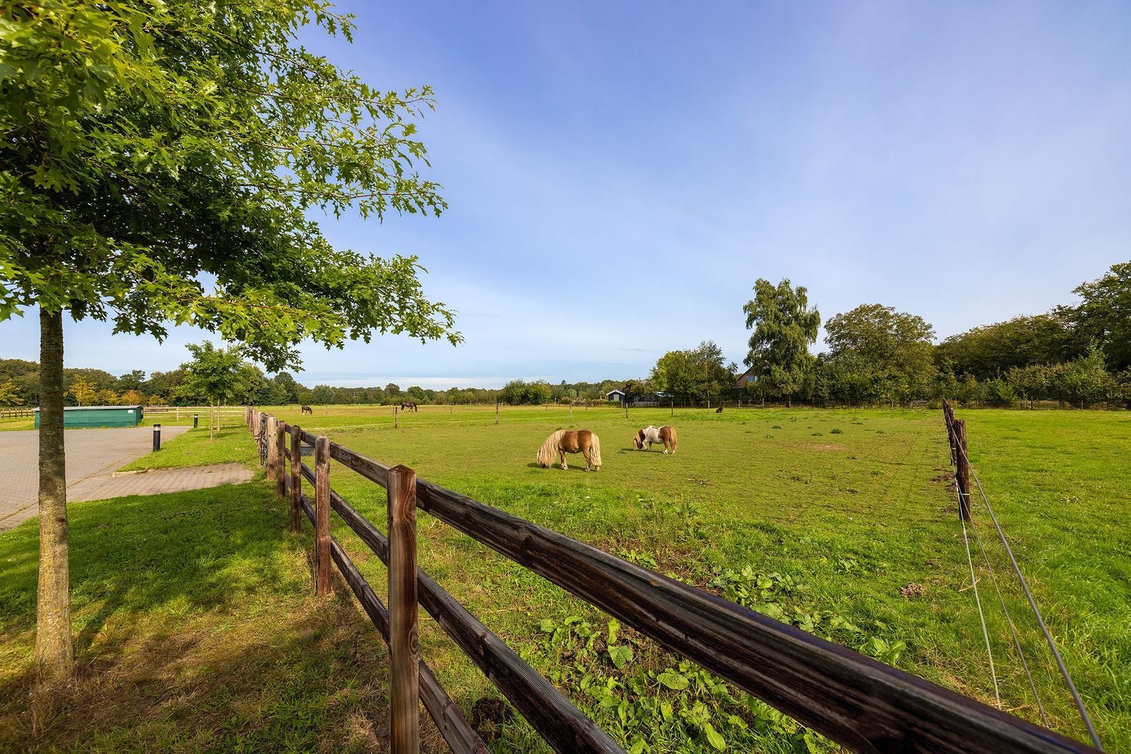 Dortherdijk 16 image 1