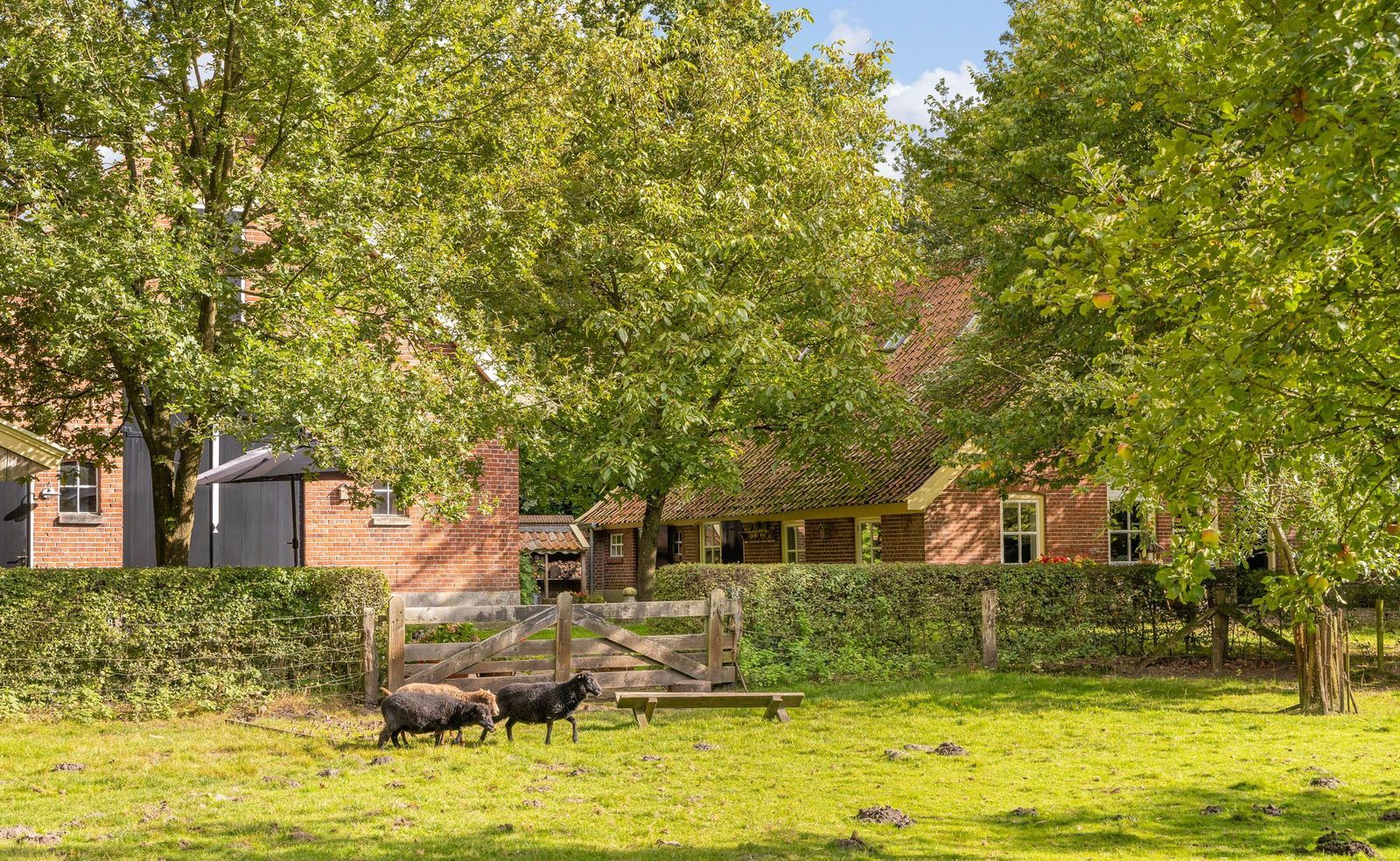 Weerseloseweg 271, Enschede foto-51