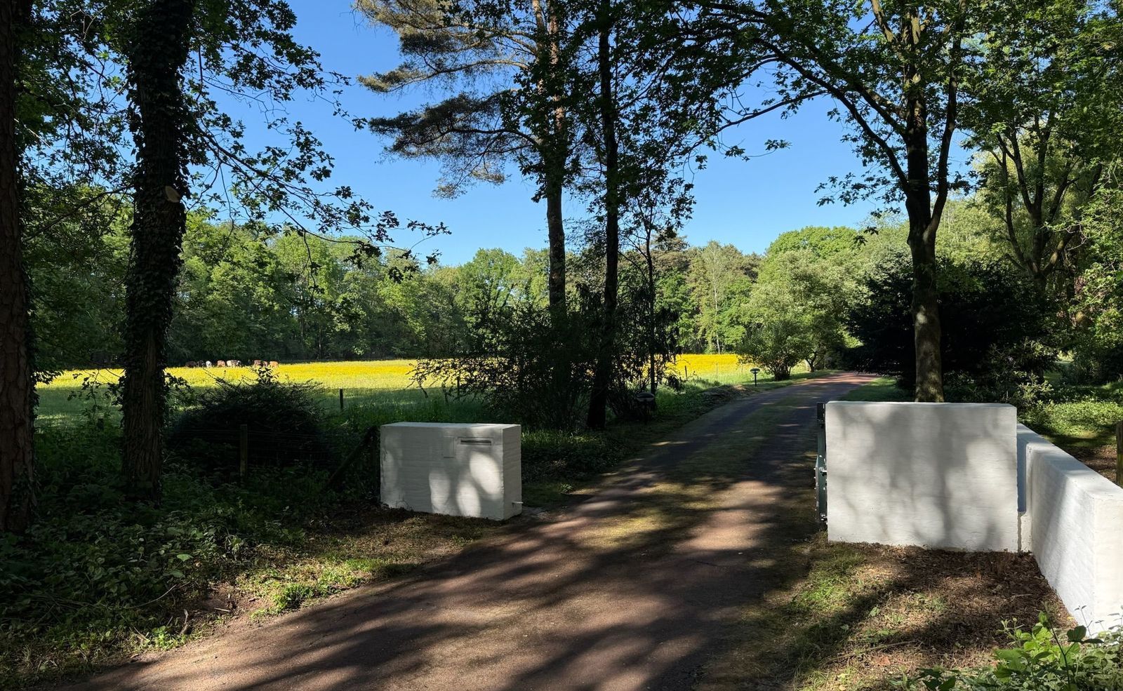 Drienerveldweg 130, Enschede foto-3