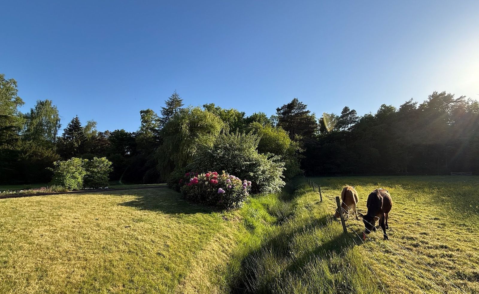 Drienerveldweg 130, Enschede foto-8