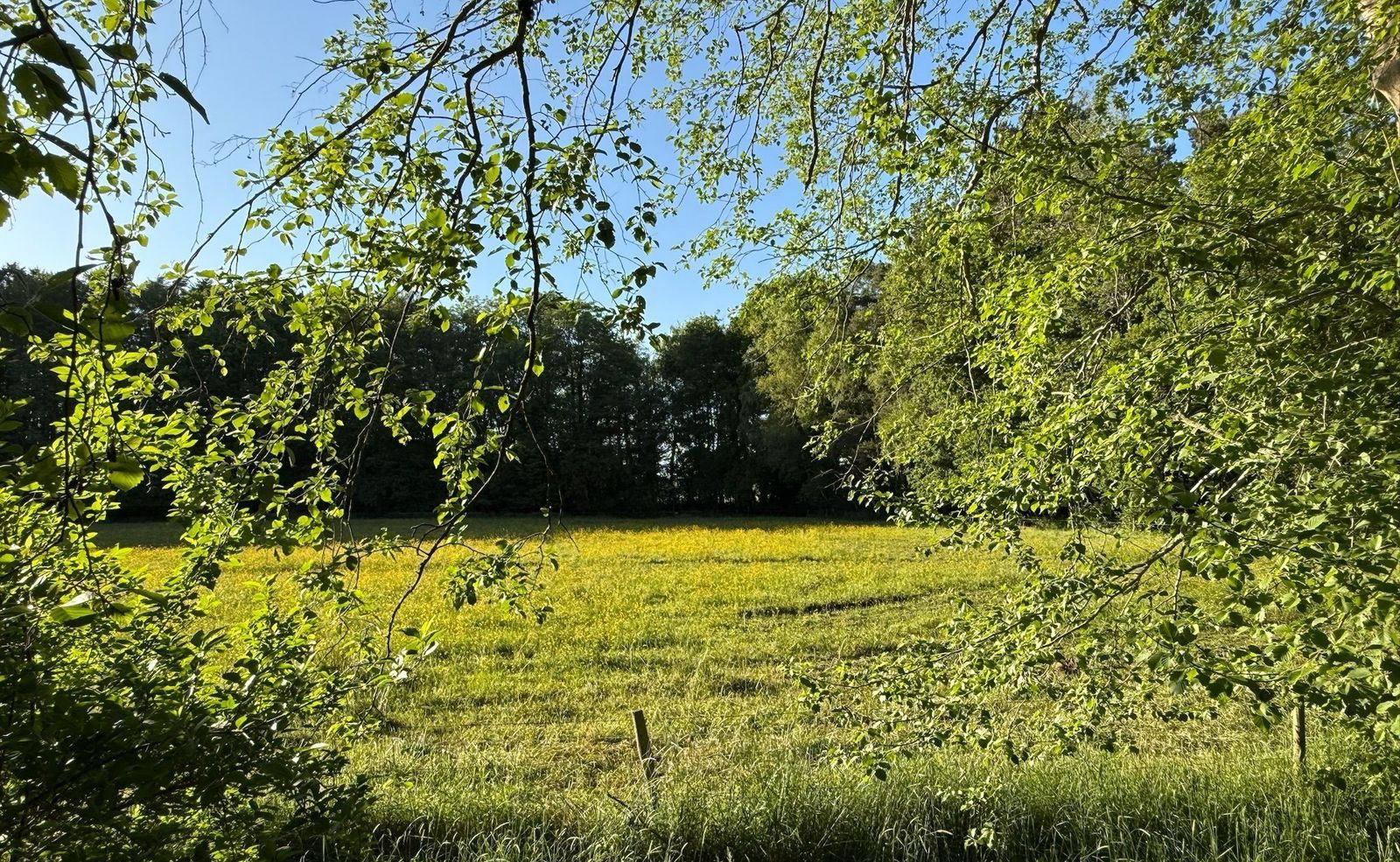 Drienerveldweg 130, Enschede foto-6