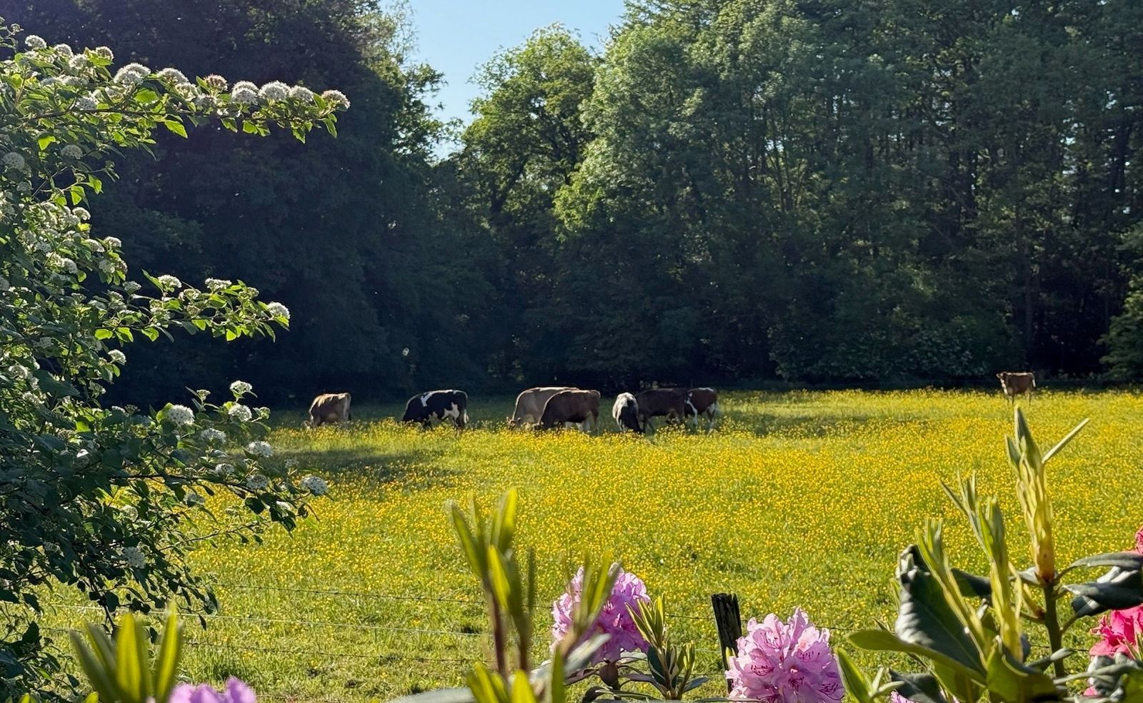 Drienerveldweg 130, Enschede foto-9