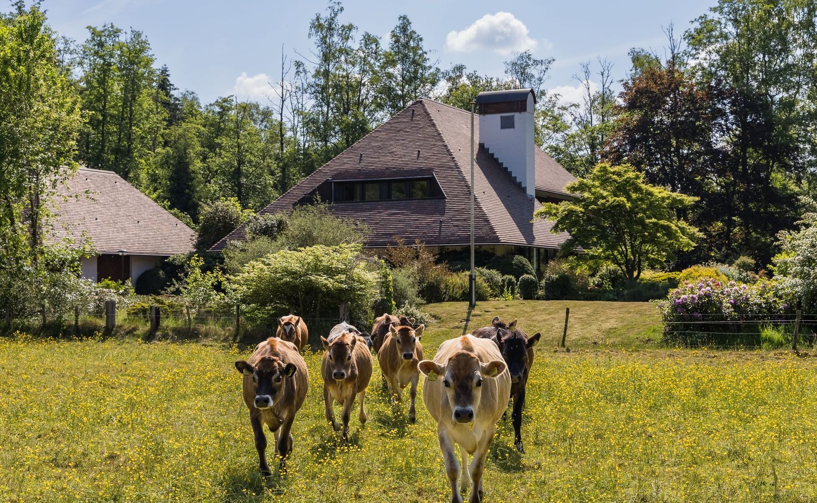Drienerveldweg 130, Enschede foto-17