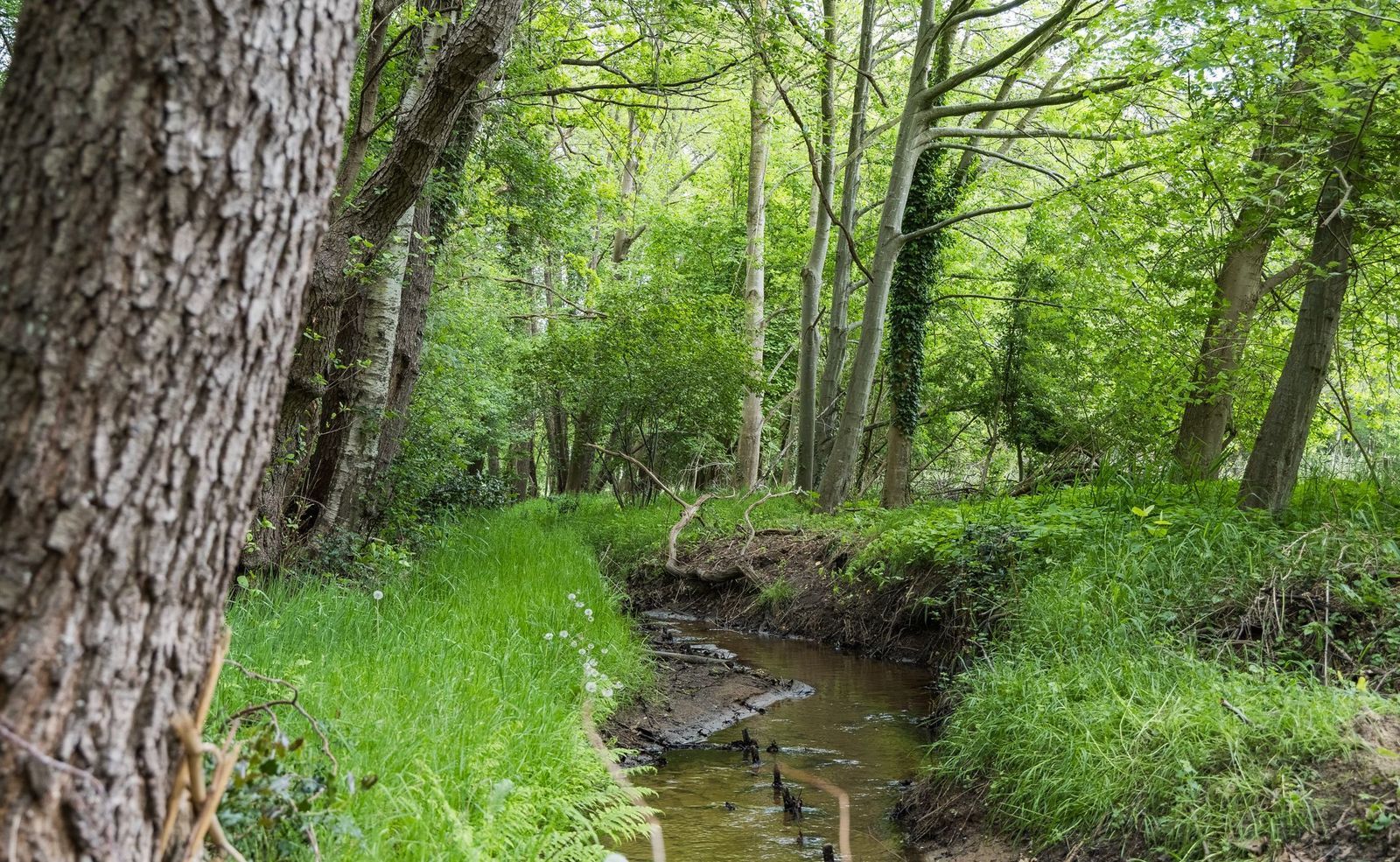 Drienerveldweg 130, Enschede foto-19
