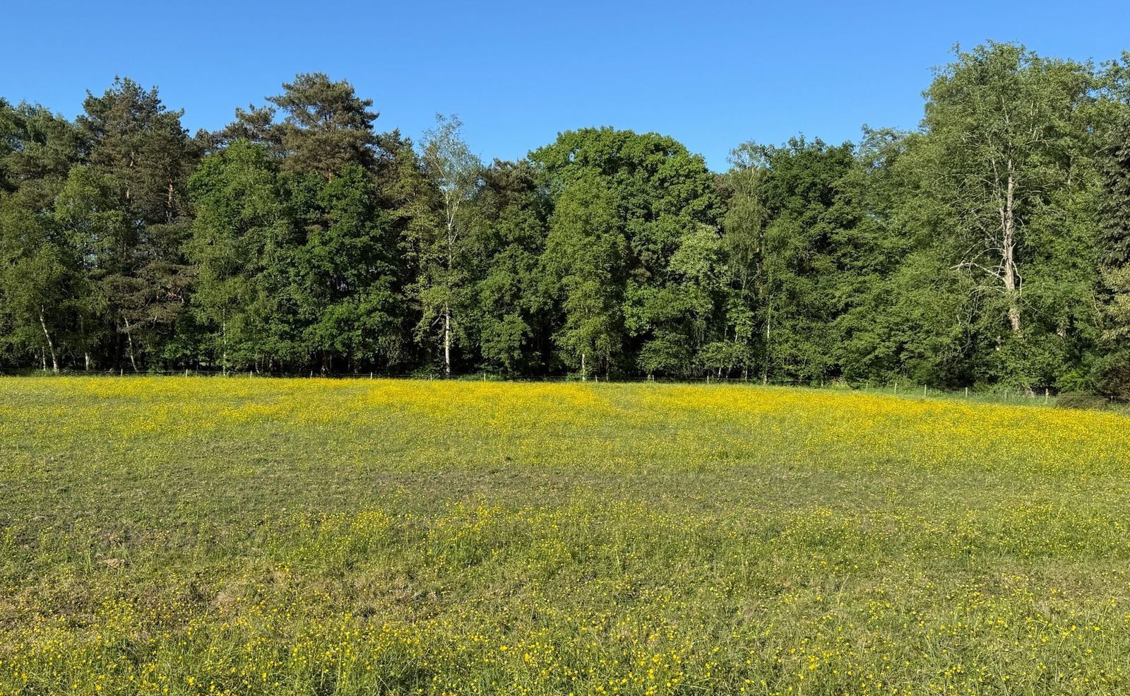 Drienerveldweg 130, Enschede foto-18