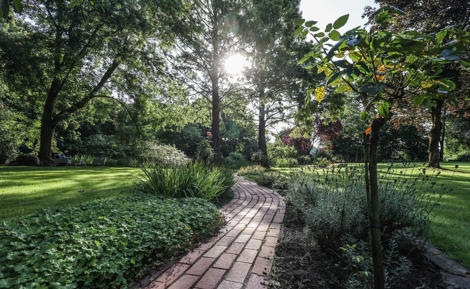 Listruper Wehr 5, Emsburen foto-53