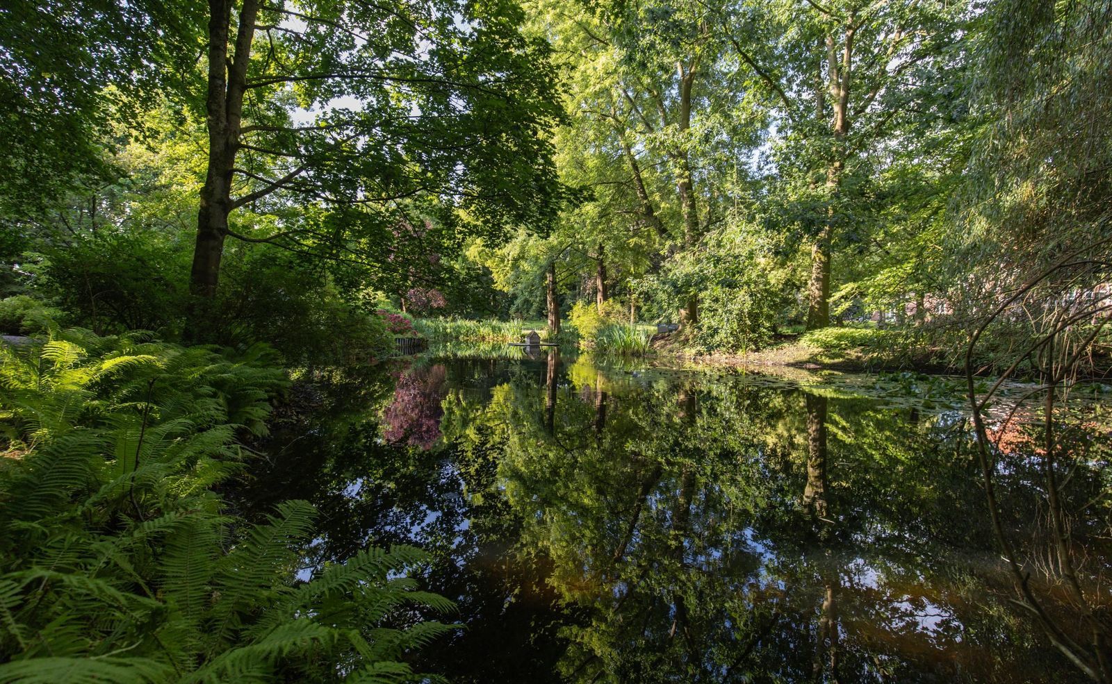 Listruper Wehr 5, Emsburen foto-56