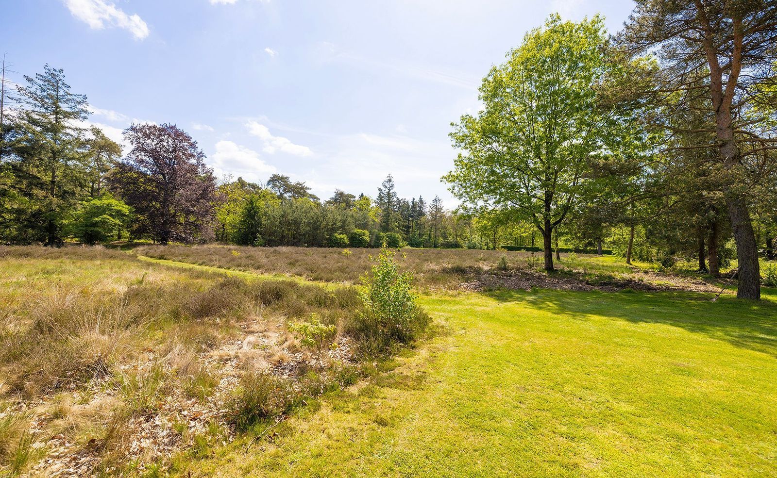 Oude Tolweg 3, Wierden foto-46