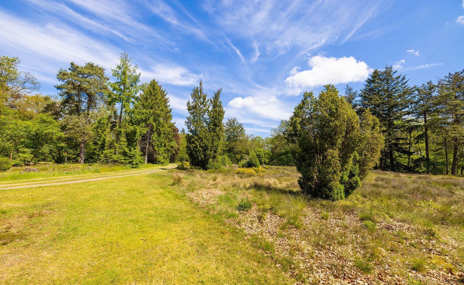 Oude Tolweg 3, Wierden foto-47