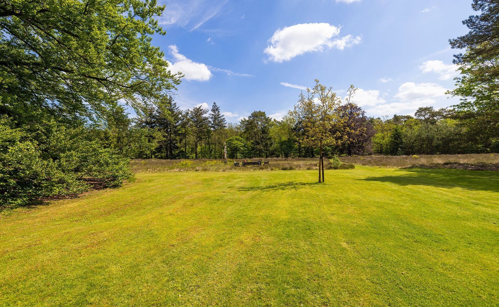 Oude Tolweg 3, Wierden foto-44