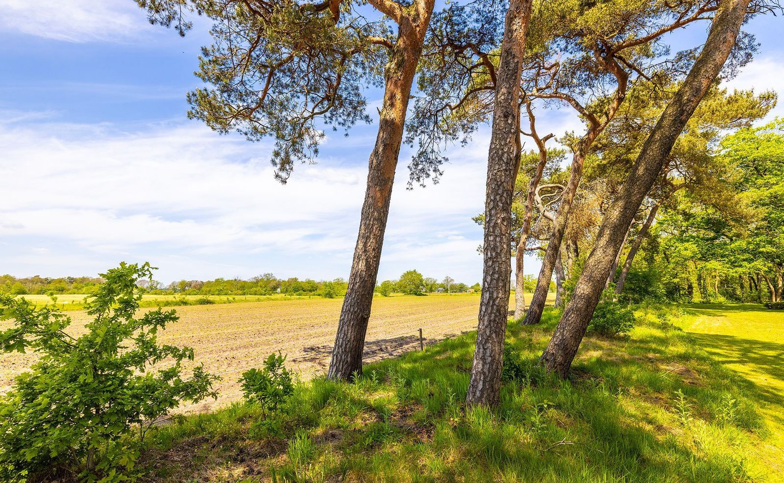 Oude Tolweg 3, Wierden foto-51