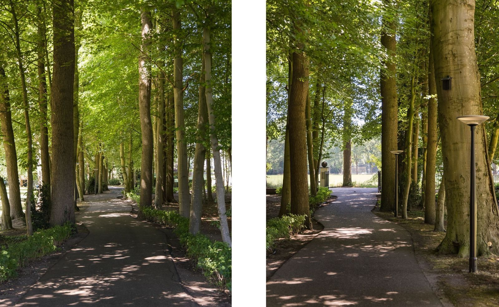 Weg over de Plaats 4, Doornspijk foto-4