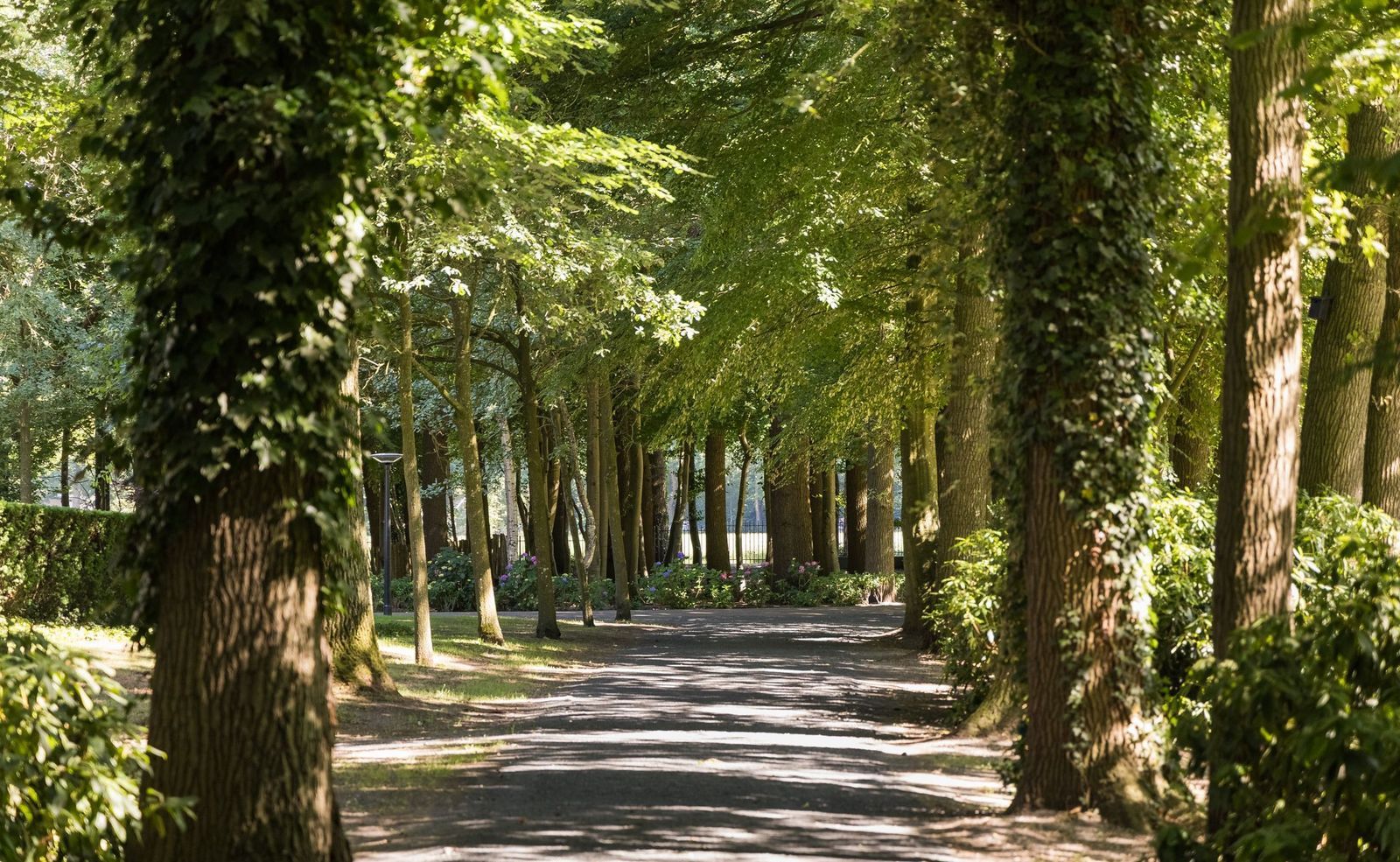 Weg over de Plaats 4, Doornspijk foto-5