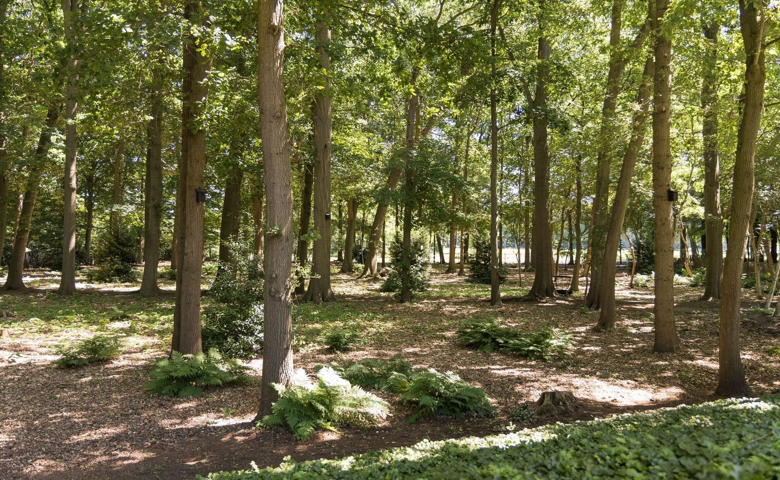 Weg over de Plaats 4, Doornspijk foto-72