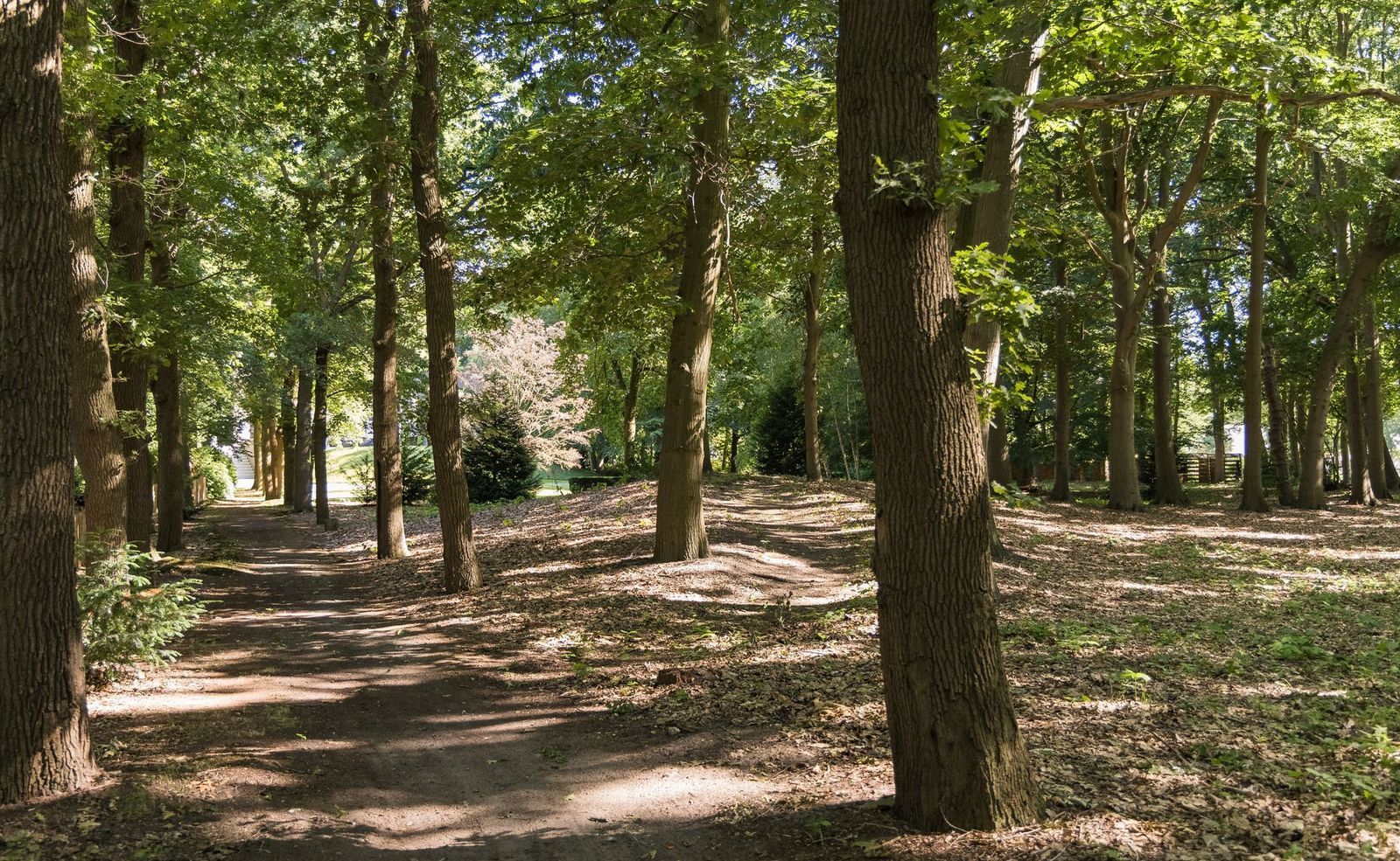 Weg over de Plaats 4, Doornspijk foto-76