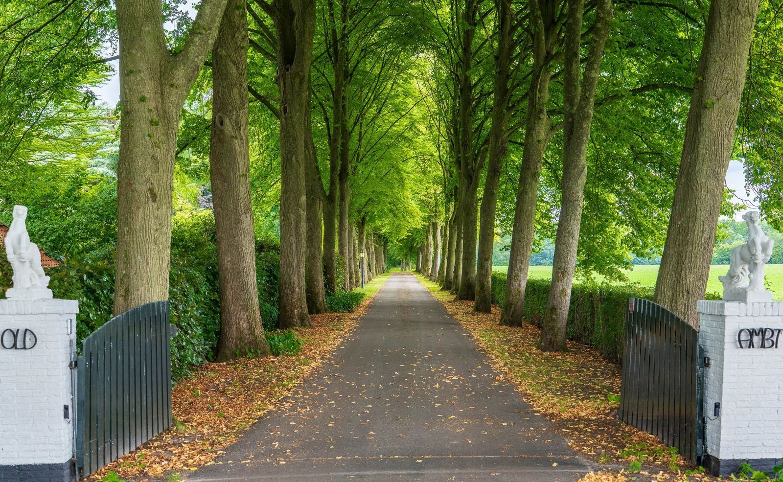 Stenendijk 8, Beerzerveld foto-2