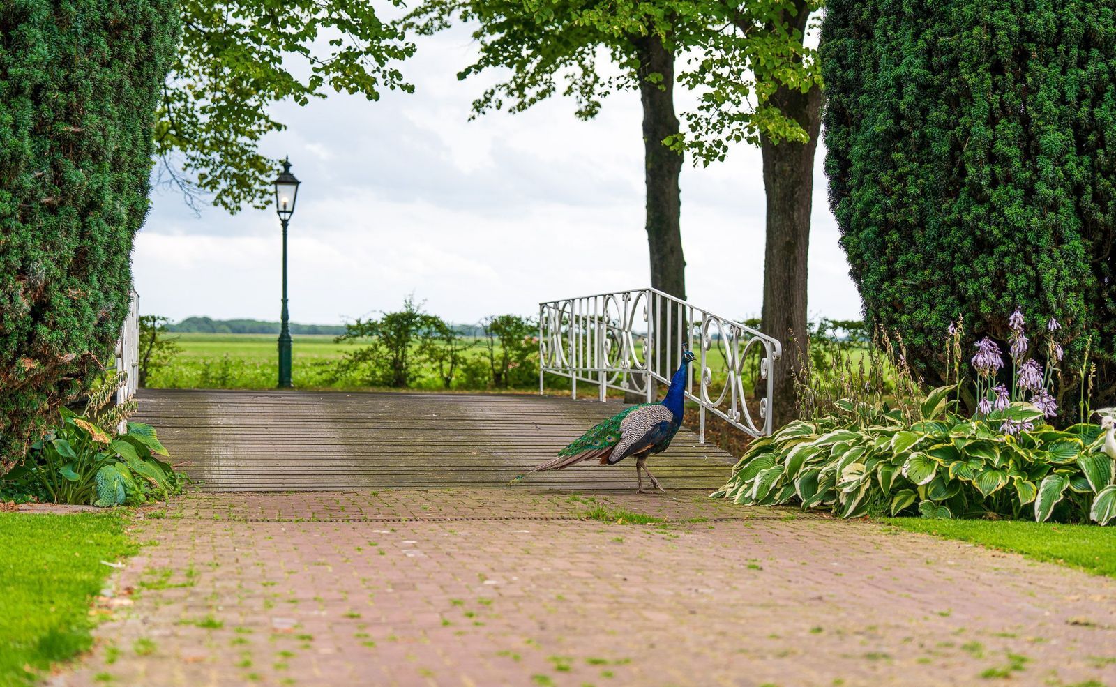 Stenendijk 8, Beerzerveld foto-8
