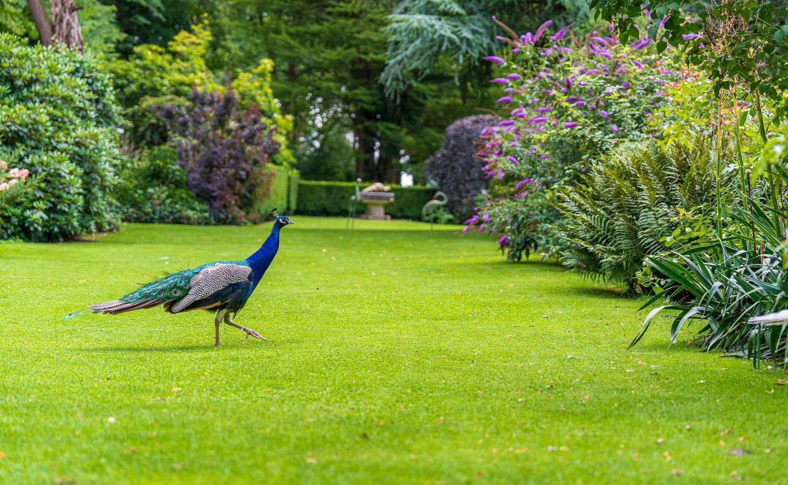 Stenendijk 8, Beerzerveld foto-68