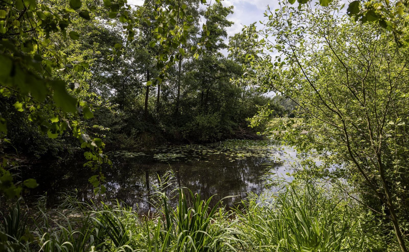 Stenendijk 8, Beerzerveld foto-74