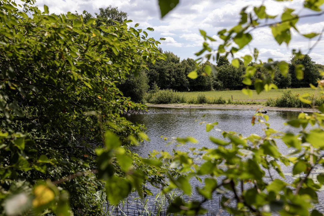 Stenendijk 8 image thumbs 1